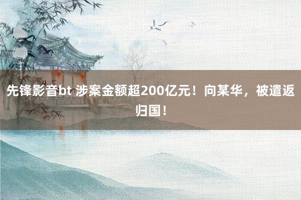 先锋影音bt 涉案金额超200亿元！向某华，被遣返归国！