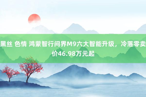 黑丝 色情 鸿蒙智行问界M9六大智能升级，冷落零卖价46.98万元起