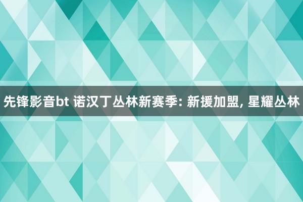 先锋影音bt 诺汉丁丛林新赛季: 新援加盟， 星耀丛林