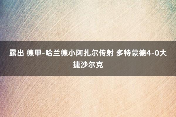 露出 德甲-哈兰德小阿扎尔传射 多特蒙德4-0大捷沙尔克