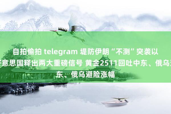 自拍偷拍 telegram 堤防伊朗“不测”突袭以色列！好意思国释出两大重磅信号 黄金2511回吐中东、俄乌避险涨幅