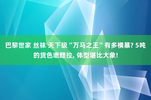 巴黎世家 丝袜 天下级“万马之王”有多横暴? 5吨的货色璷黫拉， 体型堪比大象!