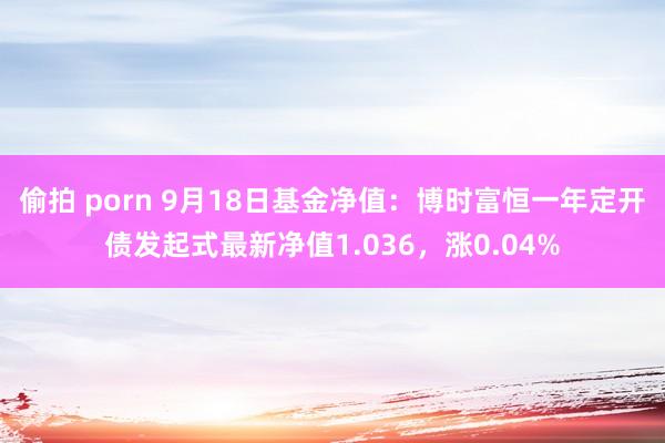 偷拍 porn 9月18日基金净值：博时富恒一年定开债发起式最新净值1.036，涨0.04%