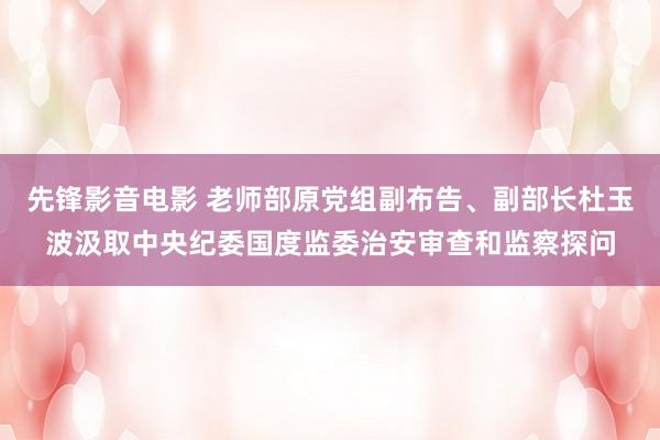 先锋影音电影 老师部原党组副布告、副部长杜玉波汲取中央纪委国度监委治安审查和监察探问