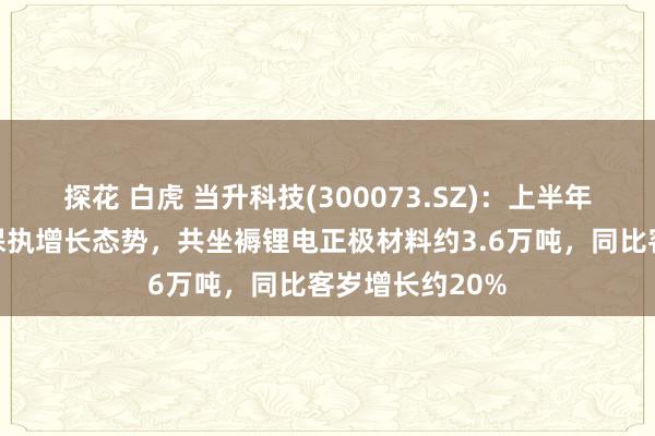 探花 白虎 当升科技(300073.SZ)：上半年居品出货合座保执增长态势，共坐褥锂电正极材料约3.6万吨，同比客岁增长约20%