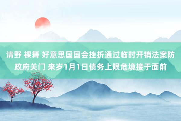 清野 裸舞 好意思国国会挫折通过临时开销法案防政府关门 来岁1月1日债务上限危境接于面前