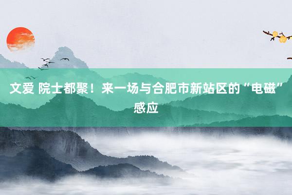 文爱 院士都聚！来一场与合肥市新站区的“电磁”感应