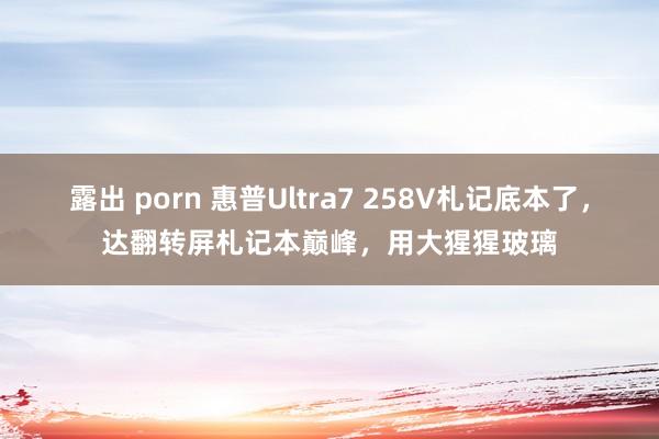 露出 porn 惠普Ultra7 258V札记底本了，达翻转屏札记本巅峰，用大猩猩玻璃