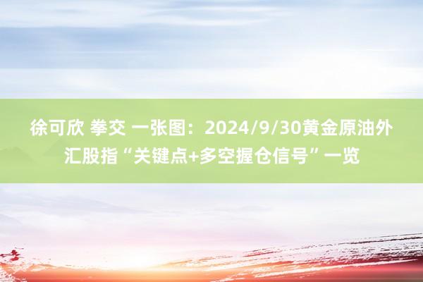 徐可欣 拳交 一张图：2024/9/30黄金原油外汇股指“关键点+多空握仓信号”一览