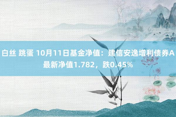 白丝 跳蛋 10月11日基金净值：建信安逸增利债券A最新净值1.782，跌0.45%