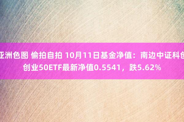 亚洲色图 偷拍自拍 10月11日基金净值：南边中证科创创业50ETF最新净值0.5541，跌5.62%