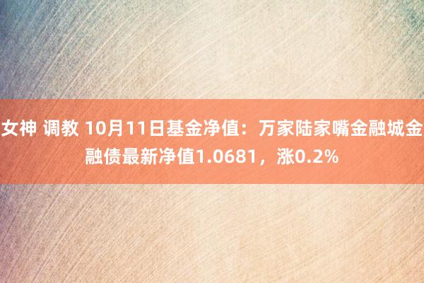 女神 调教 10月11日基金净值：万家陆家嘴金融城金融债最新净值1.0681，涨0.2%