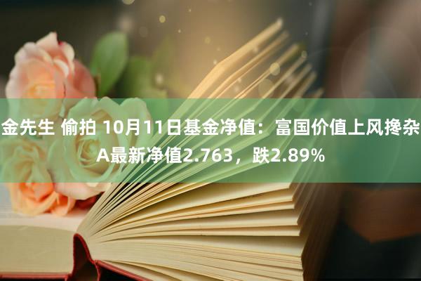 金先生 偷拍 10月11日基金净值：富国价值上风搀杂A最新净值2.763，跌2.89%