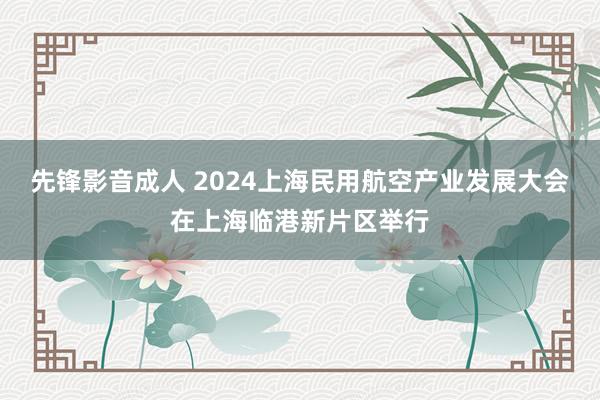 先锋影音成人 2024上海民用航空产业发展大会在上海临港新片区举行