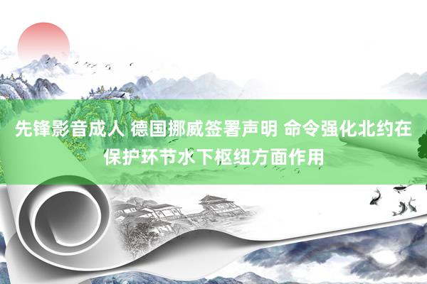 先锋影音成人 德国挪威签署声明 命令强化北约在保护环节水下枢纽方面作用