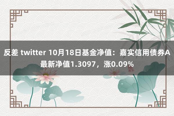 反差 twitter 10月18日基金净值：嘉实信用债券A最新净值1.3097，涨0.09%