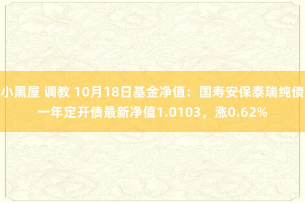 小黑屋 调教 10月18日基金净值：国寿安保泰瑞纯债一年定开债最新净值1.0103，涨0.62%