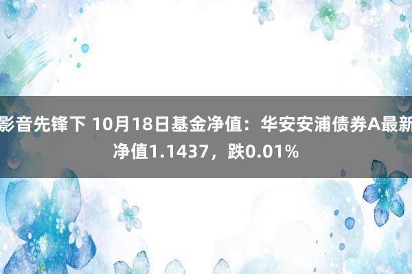 影音先锋下 10月18日基金净值：华安安浦债券A最新净值1.1437，跌0.01%