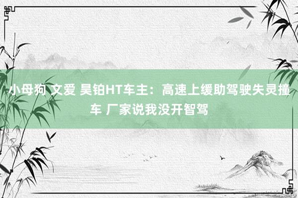 小母狗 文爱 昊铂HT车主：高速上缓助驾驶失灵撞车 厂家说我没开智驾