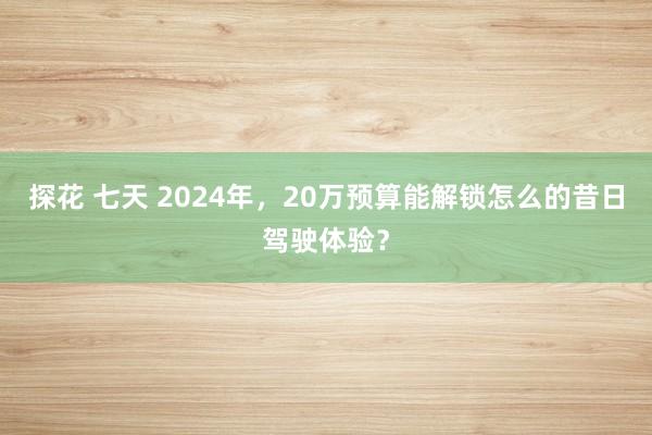 探花 七天 2024年，20万预算能解锁怎么的昔日驾驶体验？