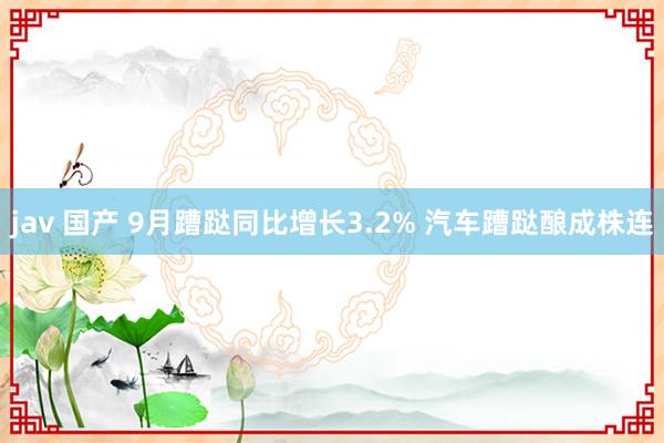 jav 国产 9月蹧跶同比增长3.2% 汽车蹧跶酿成株连