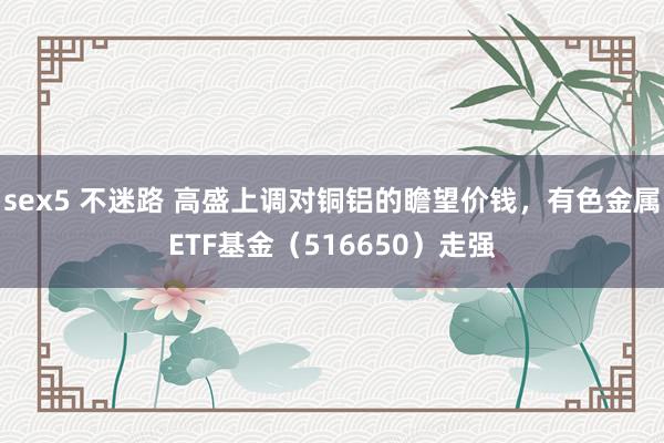 sex5 不迷路 高盛上调对铜铝的瞻望价钱，有色金属ETF基金（516650）走强