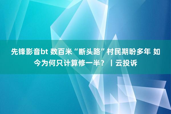 先锋影音bt 数百米“断头路”村民期盼多年 如今为何只计算修一半？丨云投诉