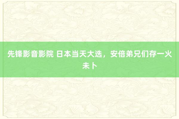 先锋影音影院 日本当天大选，安倍弟兄们存一火未卜