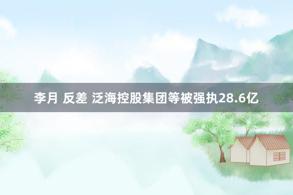 李月 反差 泛海控股集团等被强执28.6亿