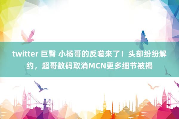 twitter 巨臀 小杨哥的反噬来了！头部纷纷解约，超哥数码取消MCN更多细节被揭